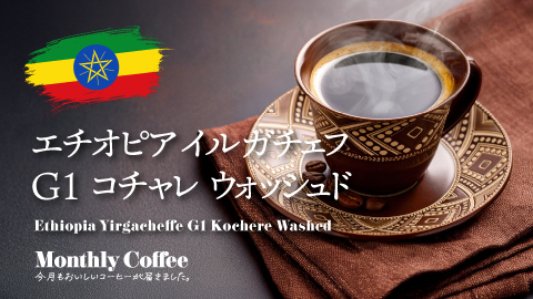 11月マンスリーコーヒー 「エチオピア イルガチェフ G1 コチャレ ウォッシュド」新発売