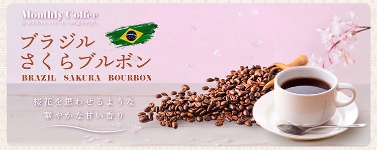 マンスリーコーヒー3月「ブラジル さくらブルボン」新発売