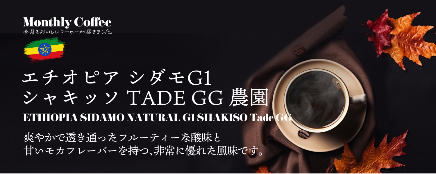 マンスリーコーヒー11月「エチオピア シダモG1 シャキッソTADE GG農園」新発売