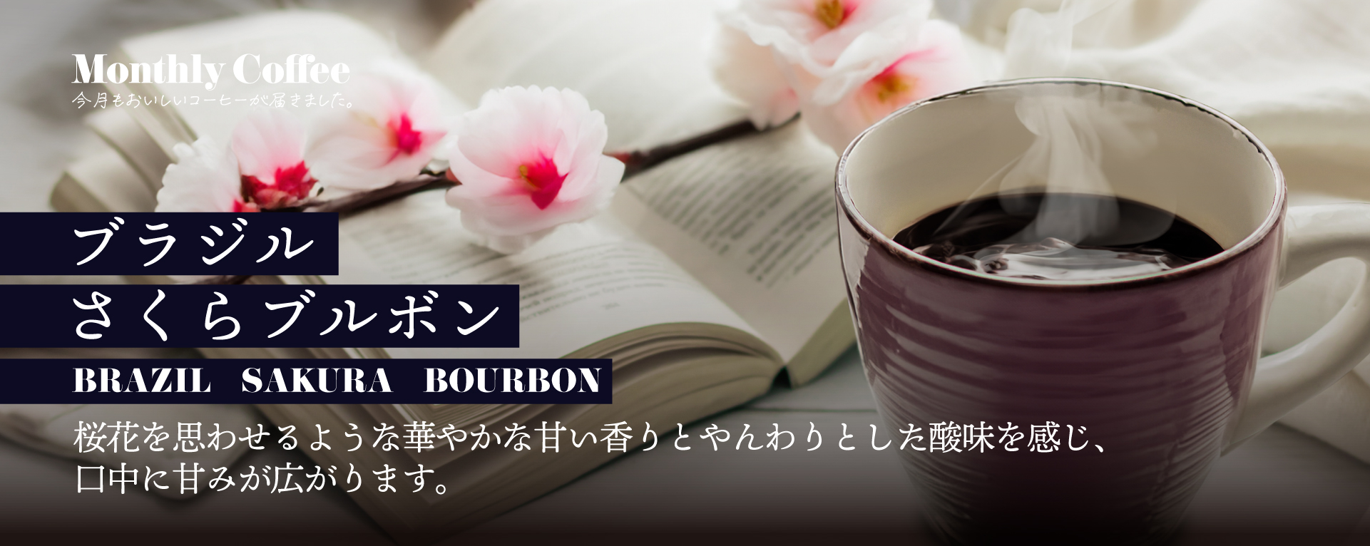 ブラジルさくらブルボン 桜花を思わせるような華やかな甘い香りとやんわりとした酸味を感じ、口内に甘みが広がります。