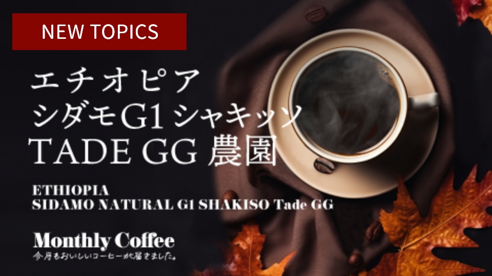 マンスリーコーヒー11月「エチオピア シダモG1 シャキッソTADE GG農園」新発売