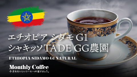 11月マンスリーコーヒー「エチオピア シダモG1 シャキッソ TADE GG農園 」新発売