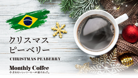 12月マンスリーコーヒー「ブラジル クリスマスピーベリー 」新発売